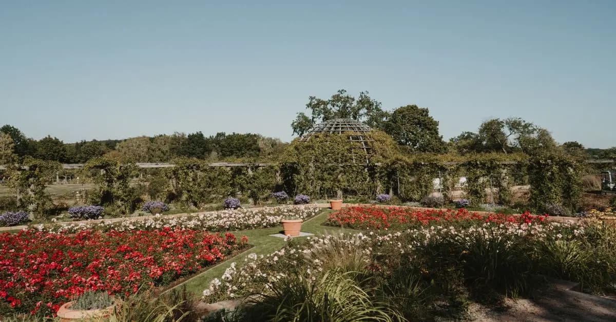 Guide d'achat du meilleur équipement de jardinage à petit prix