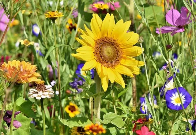 Choisir le meilleur mobilier de jardin économique